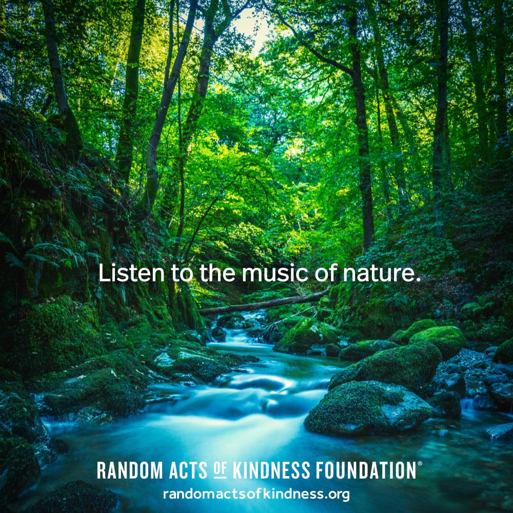 Listen to the music of nature. —Brooke