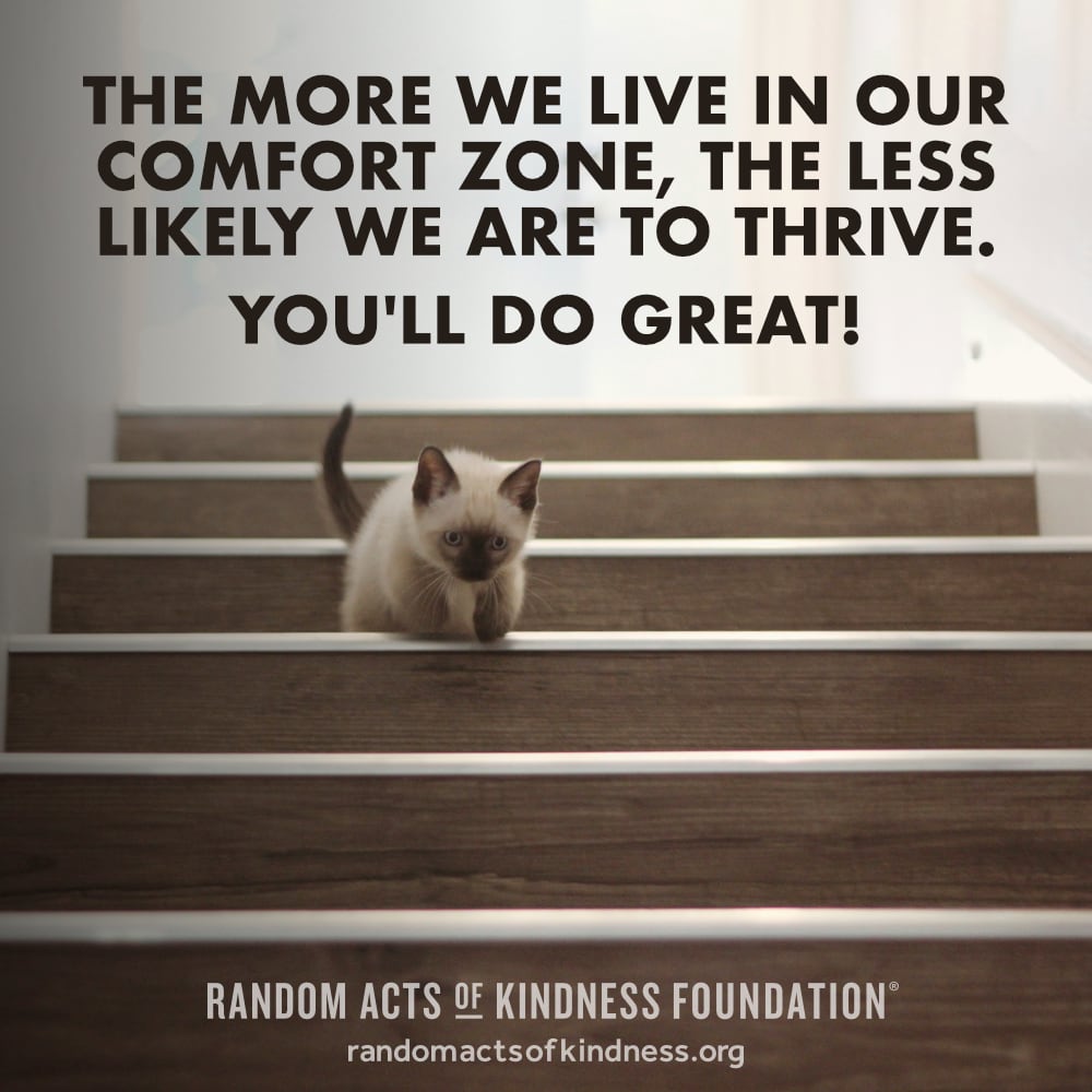 The more we live in our comfort zone, the less likely we are to thrive. You'll do great! —Brooke