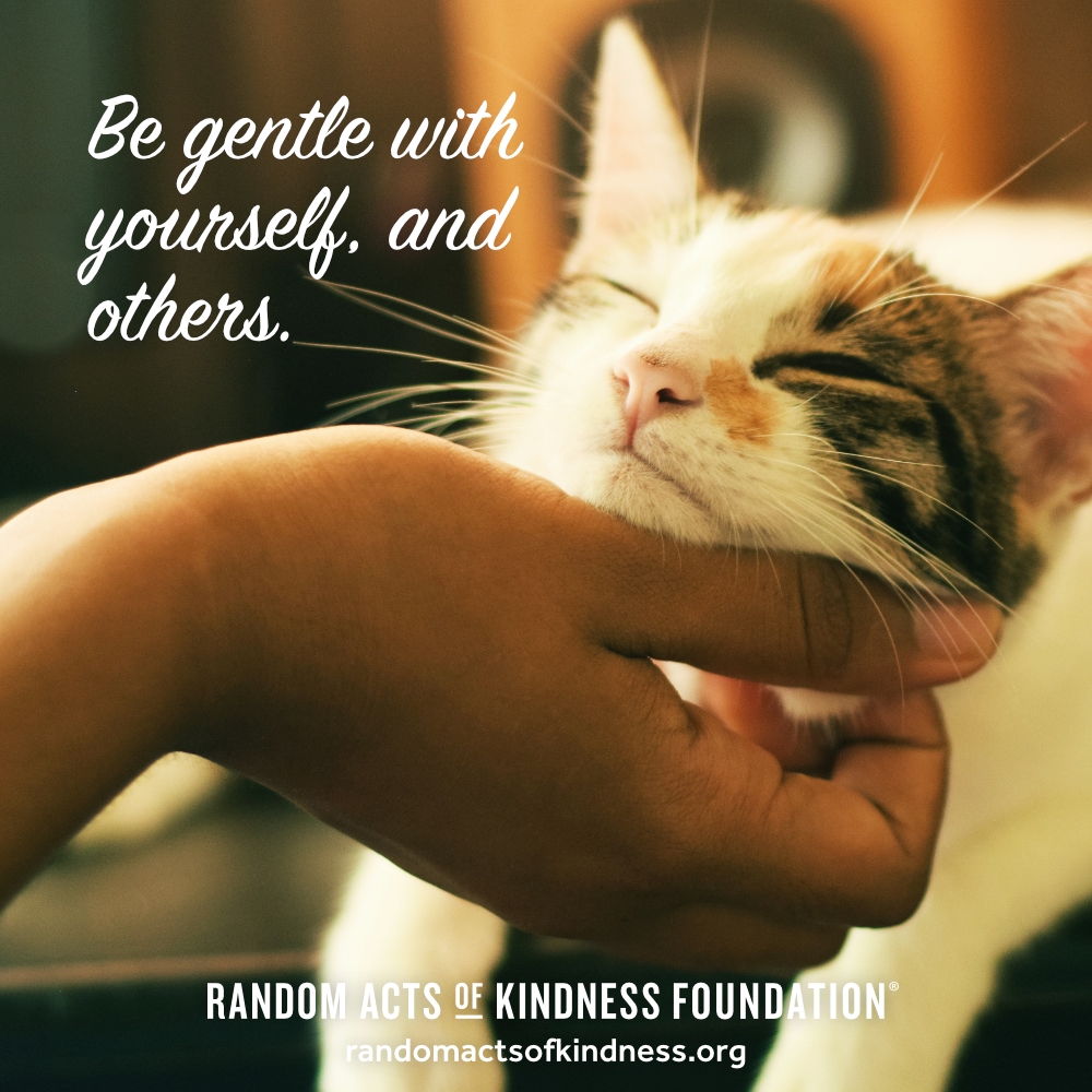 Be gentle with yourself, and others. —Brooke