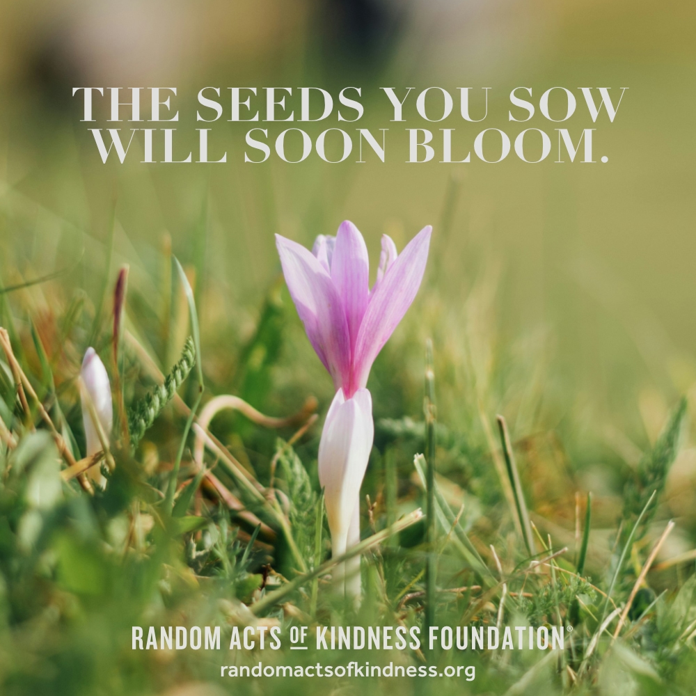 The seeds you sow will soon bloom. —Brooke