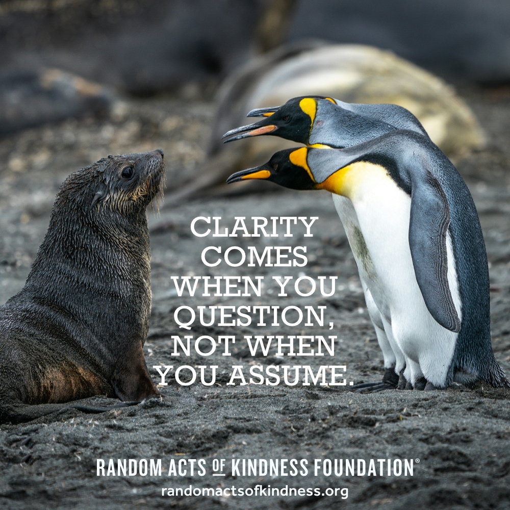 Clarity comes when you question, not when you assume. —Brooke