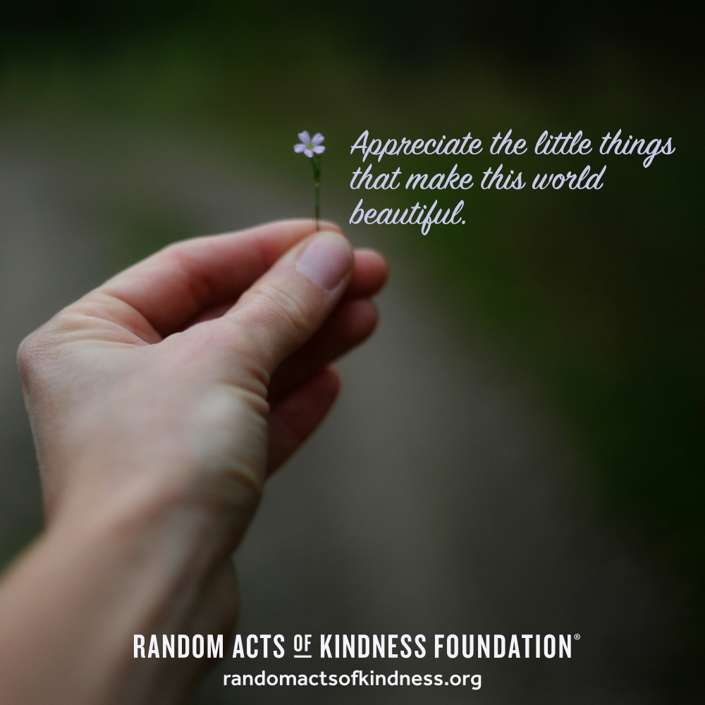 Appreciate the little things that make this world beautiful. —Brooke