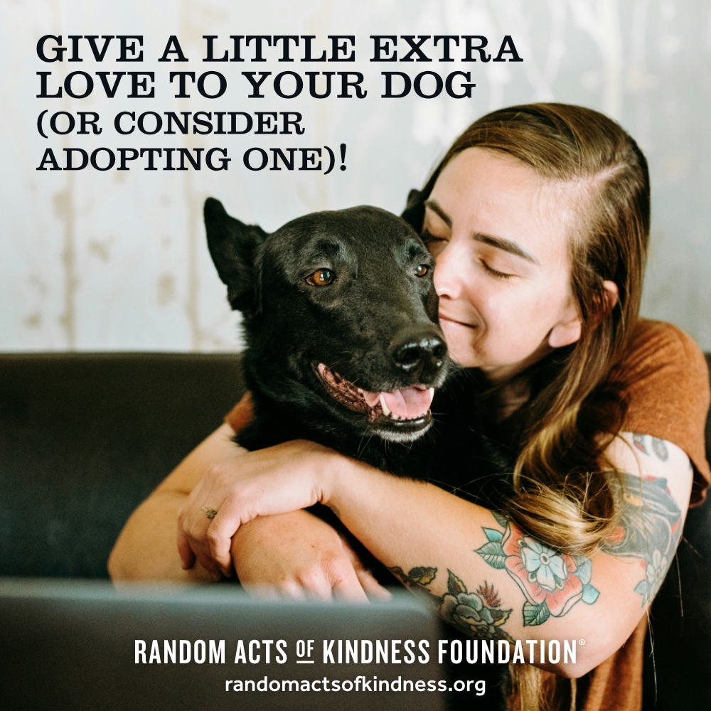 Give a little extra love to your dog (or consider adopting one)! —Brooke