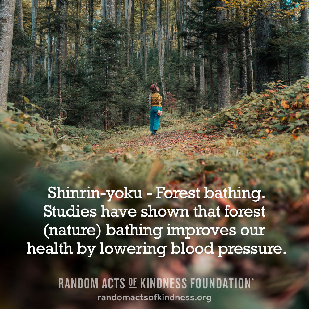 Shinrin-yoku - Forest bathing. Studies have shown that forest (nature) bathing improves our health by lowering blood pressure.