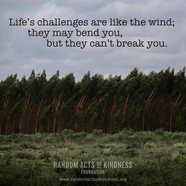 Life's challenges are like the wind; they may bend you, but they can't break you. —Brooke