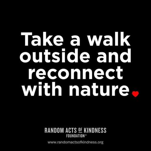Take a walk outside and reconnect with nature.