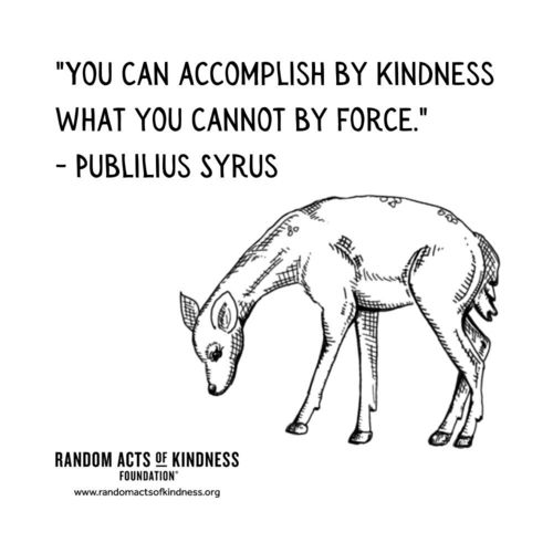 You can accomplish by kindness what you cannot by force Publilius Syrus