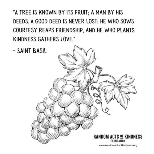 A tree is known by its fruit; a man by his deeds. A good deed is never lost; he who sows courtesy reaps friendship, and he who plants kindness gathers love. Saint Basil