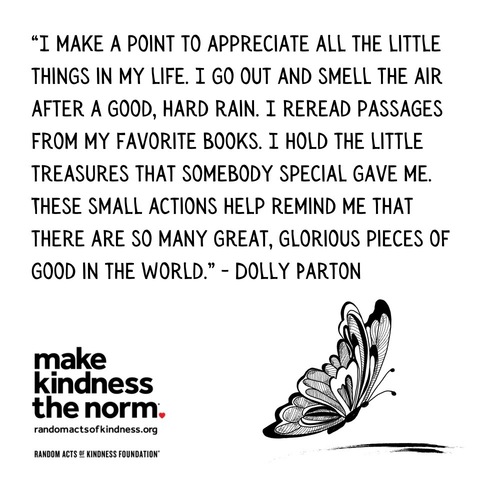 I make a point to appreciate all the little things in my life. I go out and smell the air after a good, hard rain. I reread passages from my favorite books. I hold the little treasures that somebody special gave me. These small actions help remind me that there are so many great, glorious pieces of good in the world. Dolly Parton